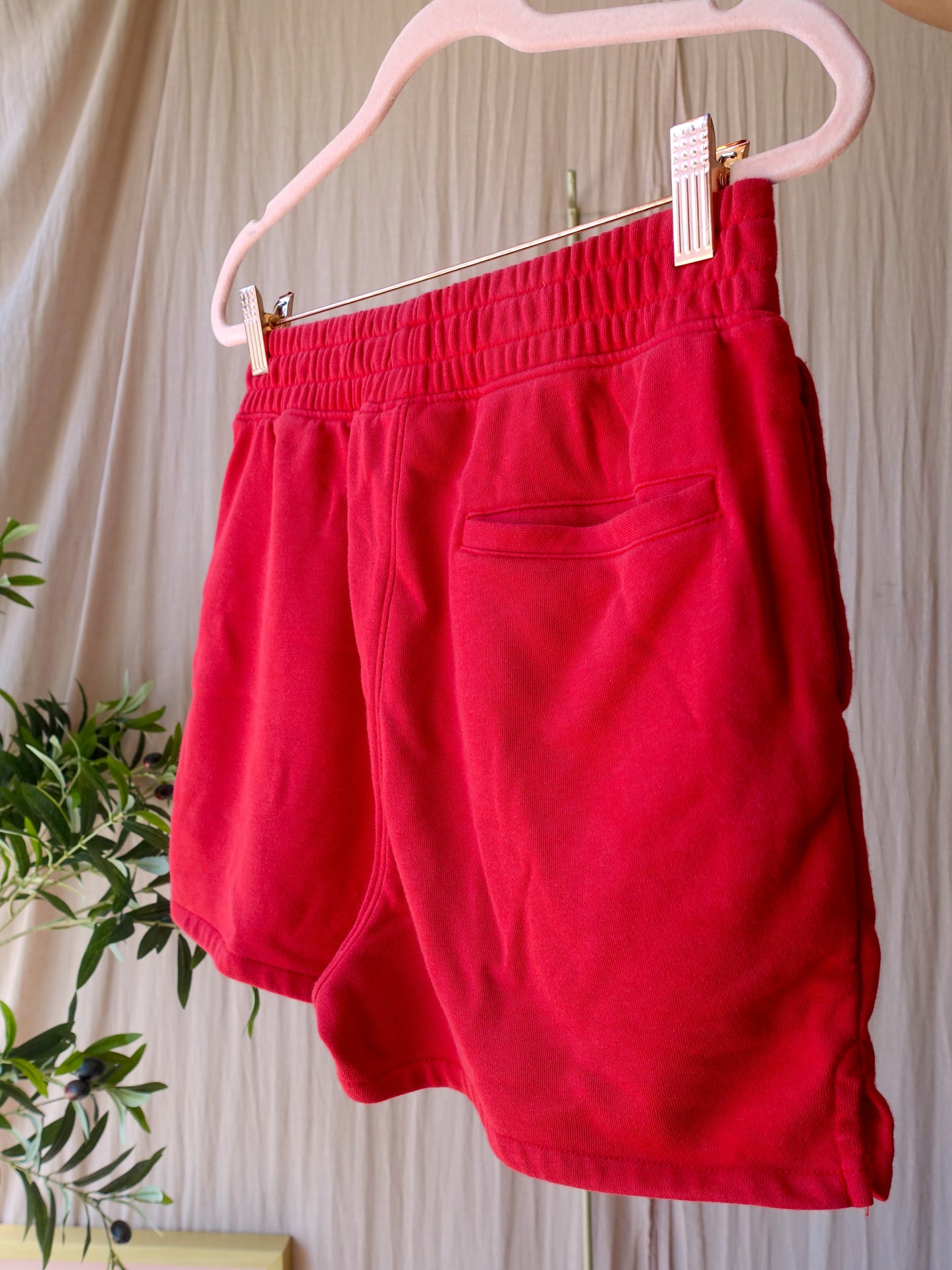 Converse All Star french terry shorts scarlet