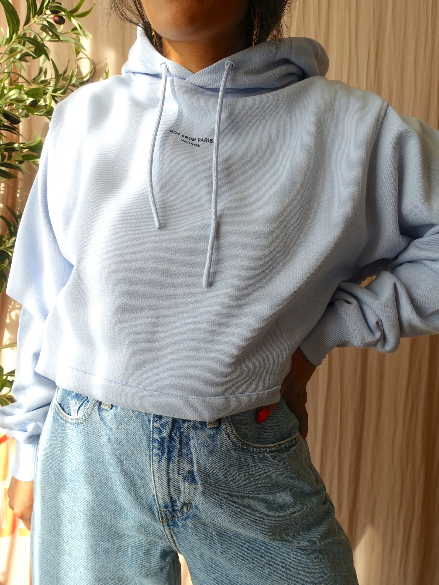 Drôle de Monsieur le hoodie classique nfpm