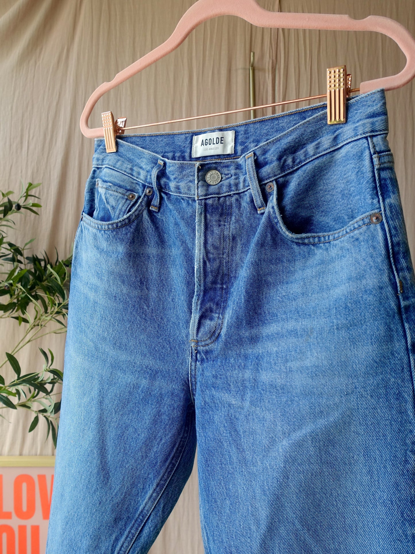 Agolde premium Riley high rise straight cropped jeans