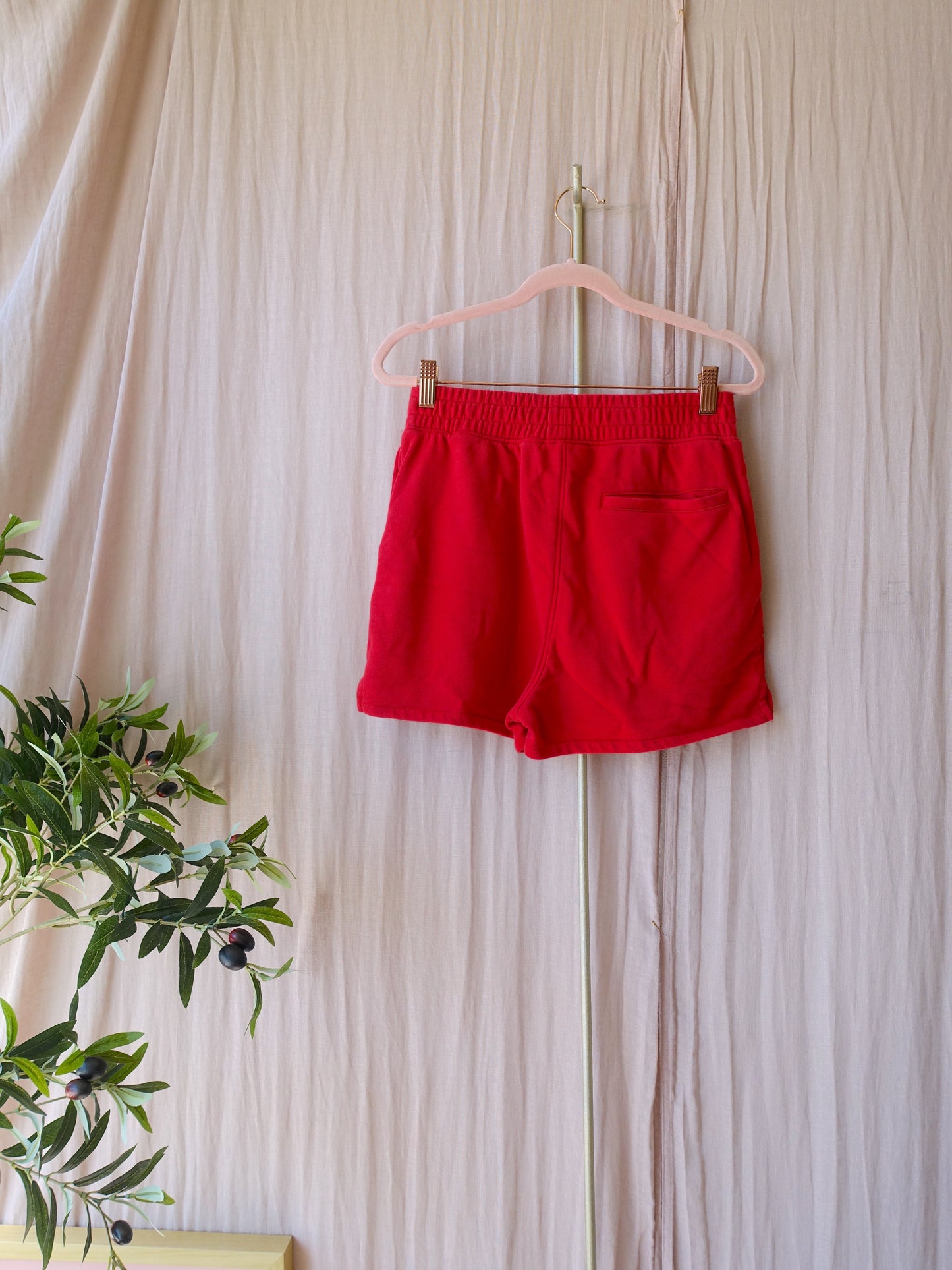 Converse All Star french terry shorts scarlet