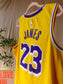 Nike Lebron James Los Angeles Lakers Icon Edition top