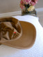 Polo Ralph Lauren the iconic chino pet warm beige