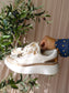 Steve Madden doubletake lederen sneakers