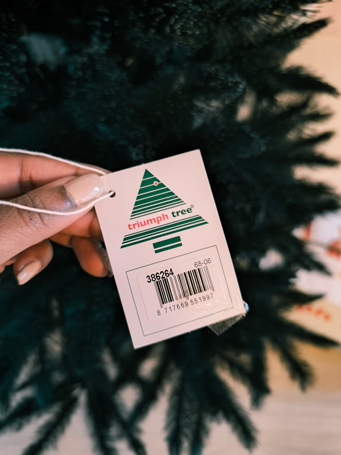 Triumph Tree Deluxe frosted kerstboom zwart